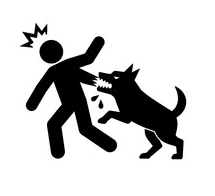 Mordedura de animal